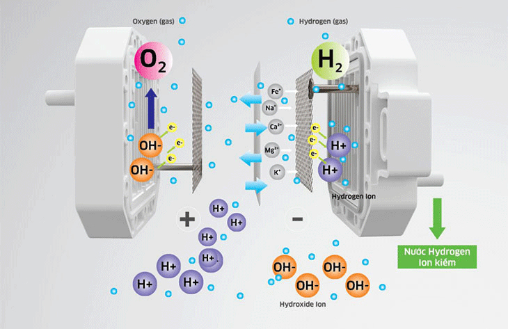 Công nghệ điện phân nước RO trên máy lọc nước RO hydrogen ion kiềm Kangaroo KG100MED 5 lõi giúp tạo ra nước ion kiềm tốt cho sức khoẻ